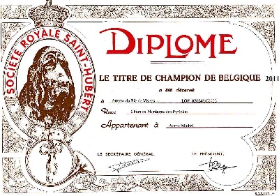 du Val d'Ernee - Arayou champion de Belgique