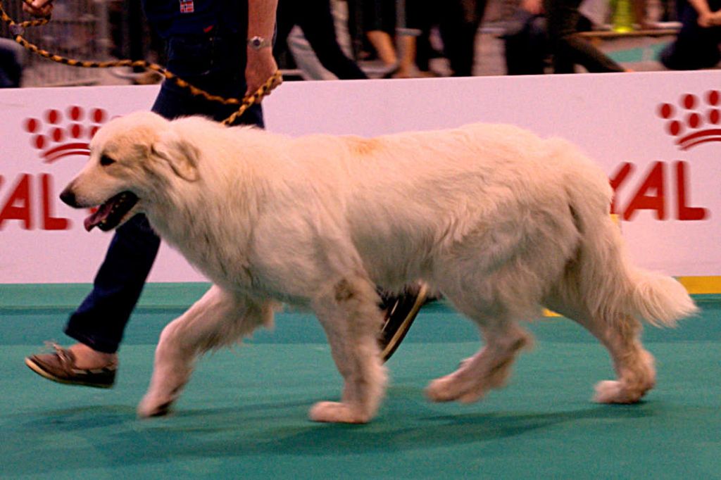 Exposition Liège